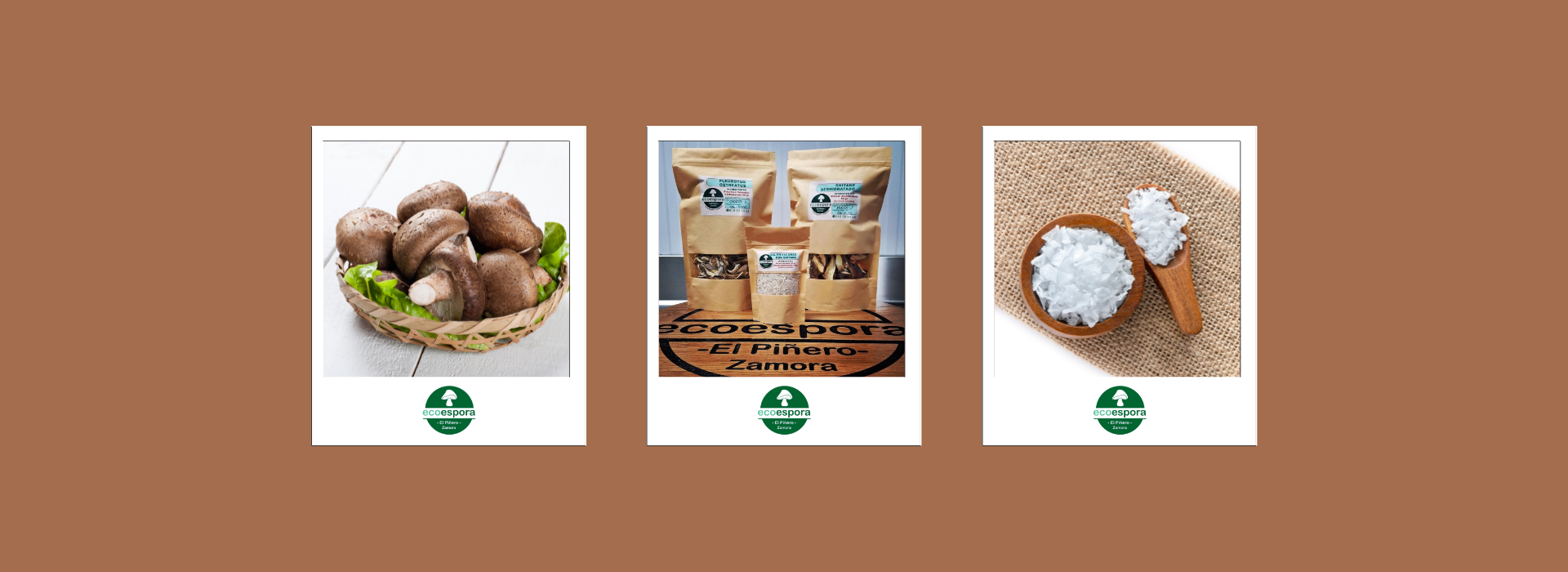 carrusel ecoespora 1