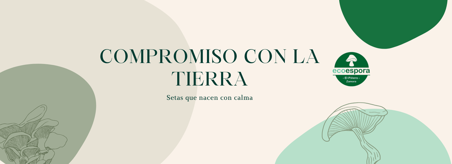 carrusel ecoespora 2