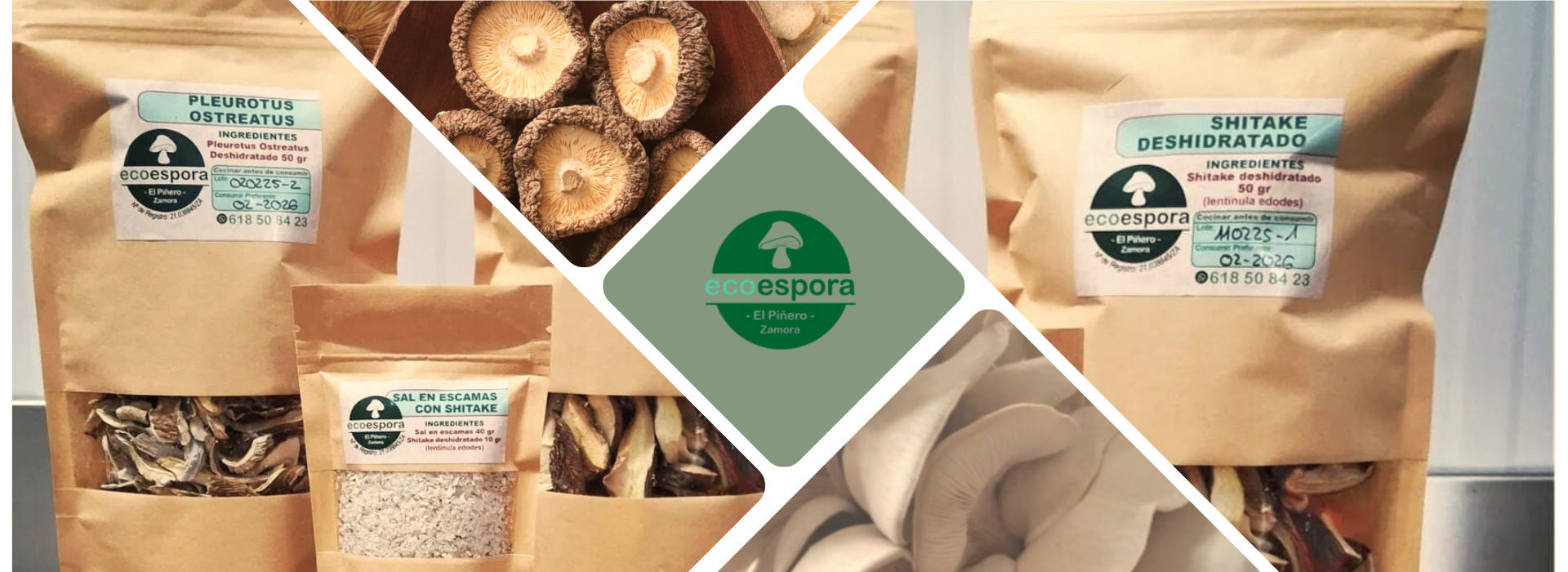 imagen banner ecoesporas