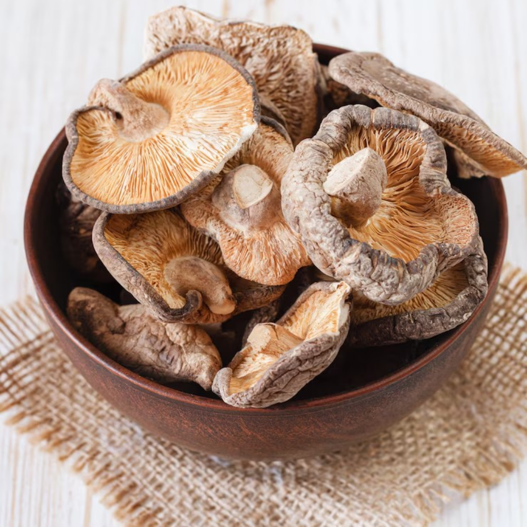 carrusel-procuctos-inicio-2